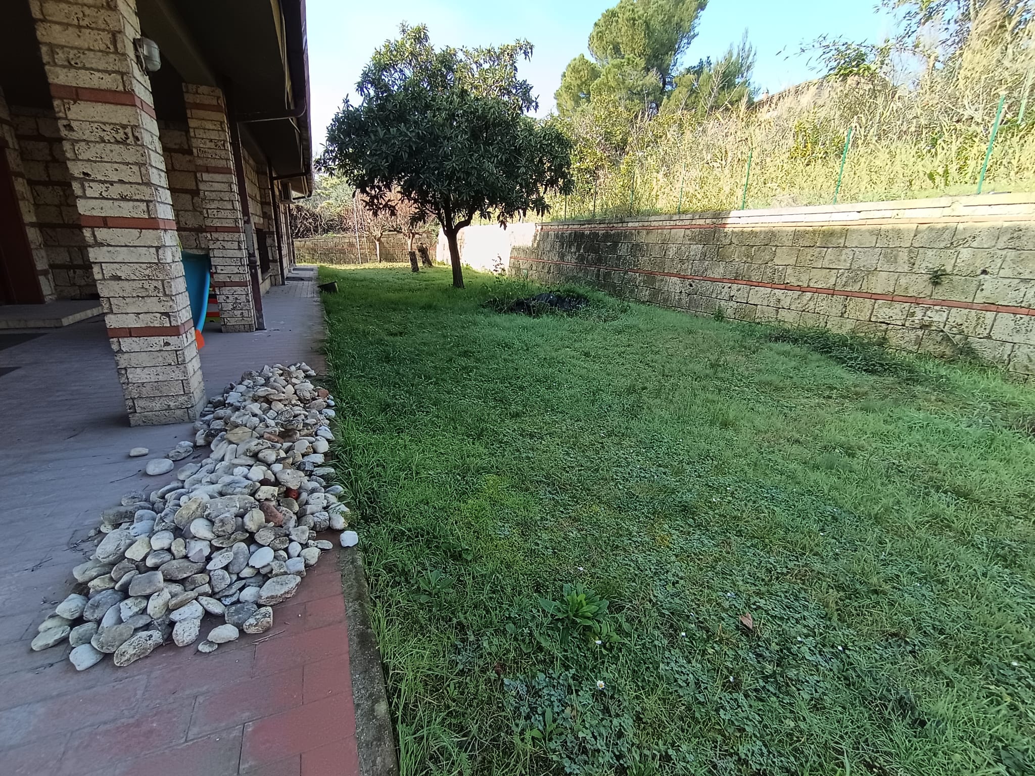 Foto 11